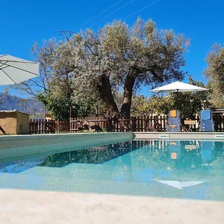 Tropical Apartment Orgiva